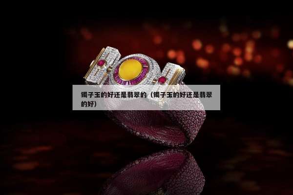 镯子玉的好还是翡翠的（镯子玉的好还是翡翠的好）