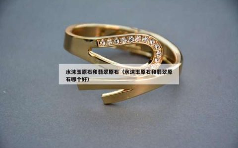 水沫玉原石和翡翠原石（水沫玉原石和翡翠原石哪个好）