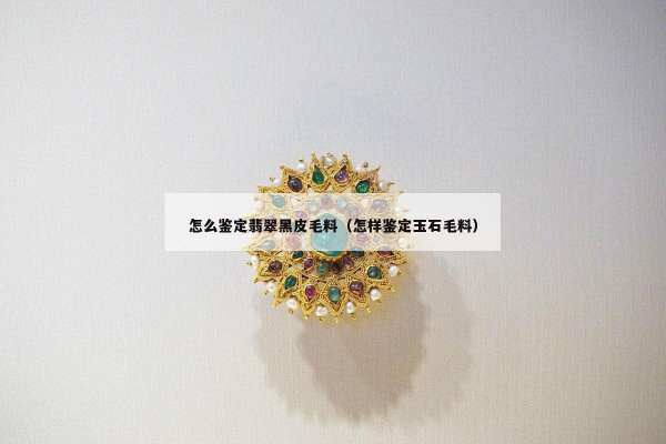 怎么鉴定翡翠黑皮毛料（怎样鉴定玉石毛料）