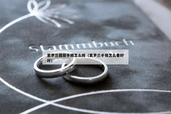 紫罗兰翡翠手镯怎么挑（紫罗兰手镯怎么看好坏）