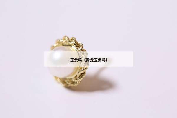 玉贵吗（黄龙玉贵吗）