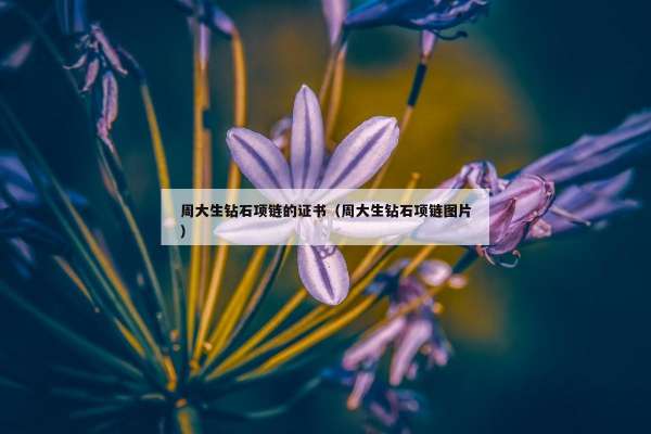 周大生钻石项链的证书（周大生钻石项链图片）
