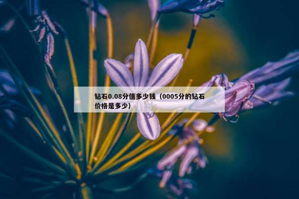 钻石0.08分值多少钱（0005分的钻石价格是多少）