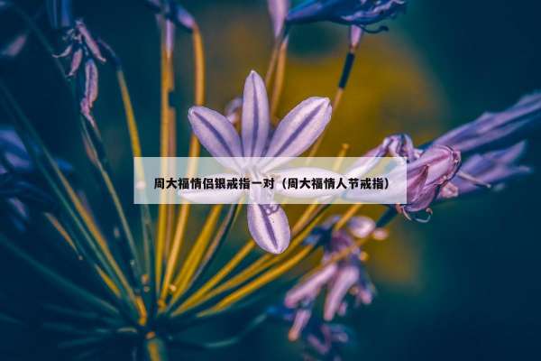 周大福情侣银戒指一对（周大福情人节戒指）