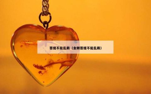 菩提不能乱戴（金刚菩提不能乱戴）