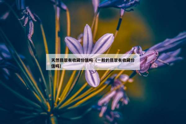 天然翡翠有收藏价值吗（一般的翡翠有收藏价值吗）