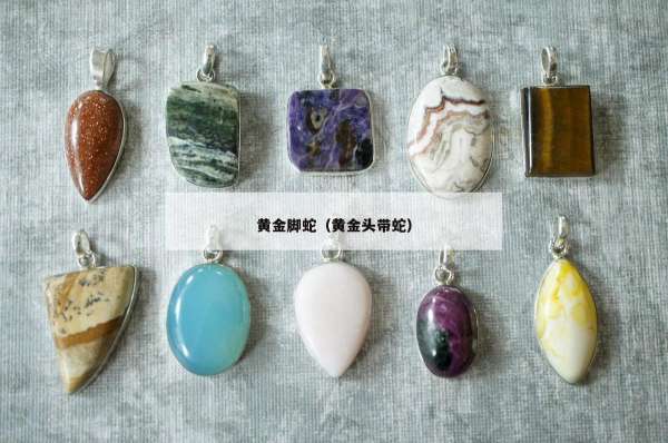黄金脚蛇（黄金头带蛇）