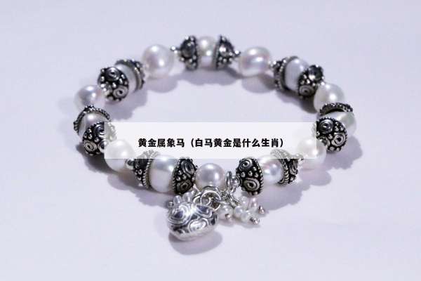 黄金属象马（白马黄金是什么生肖）