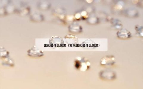 玉化是什么意思（文玩玉化是什么意思）