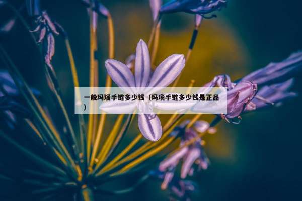 一般玛瑙手链多少钱（玛瑙手链多少钱是正品）