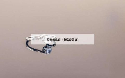 茶宠怎么玩（怎样玩茶宠）