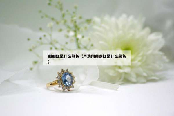 珊瑚红是什么颜色（严浩翔珊瑚红是什么颜色）