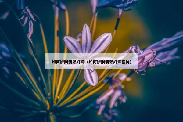 如何辨别翡翠好坏（如何辨别翡翠好坏图片）