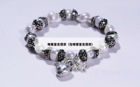 哪里鉴定翡翠（在哪里鉴定翡翠）