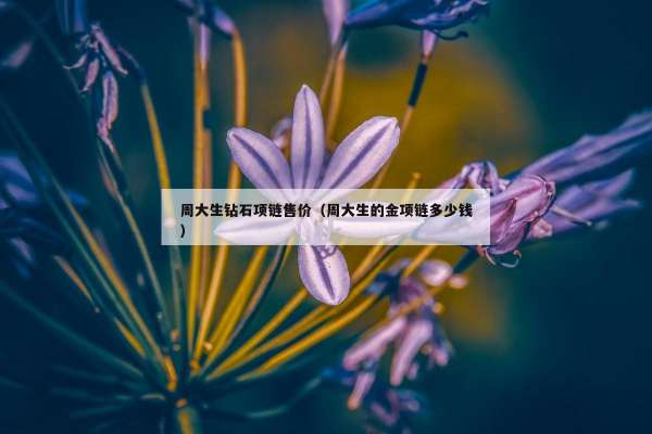周大生钻石项链售价（周大生的金项链多少钱）