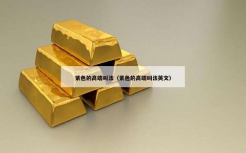 紫色的高端叫法（紫色的高端叫法英文）