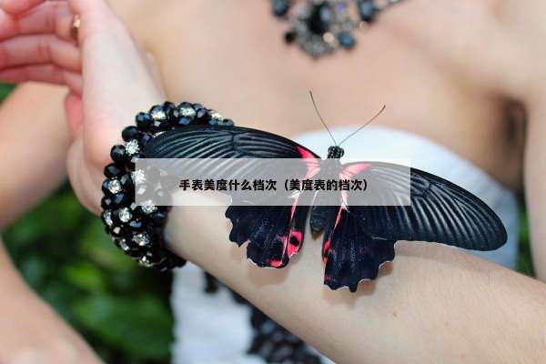 手表美度什么档次（美度表的档次）