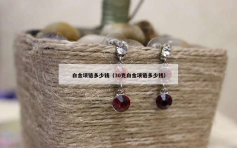 白金项链多少钱（30克白金项链多少钱）