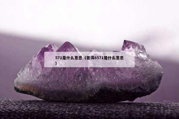 71是什么意思（普洱8571是什么意思）"