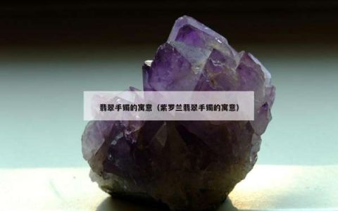 翡翠手镯的寓意（紫罗兰翡翠手镯的寓意）