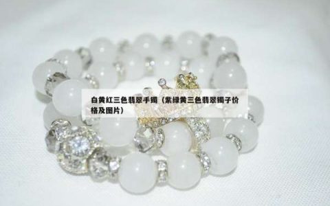 白黄红三色翡翠手镯（紫绿黄三色翡翠镯子价格及图片）