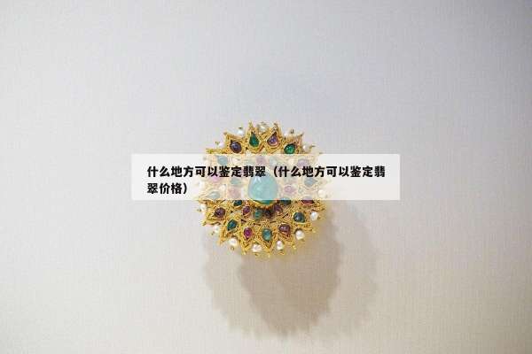 什么地方可以鉴定翡翠（什么地方可以鉴定翡翠价格）