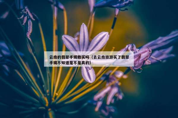 云南的翡翠手镯敢买吗（去云南旅游买了翡翠手镯不知道是不是真的）