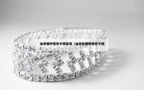 油青糯种翡翠手镯鉴别（油青色糯种翡翠手镯）