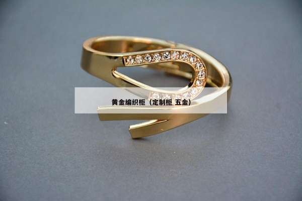 黄金编织柜（定制柜 五金）