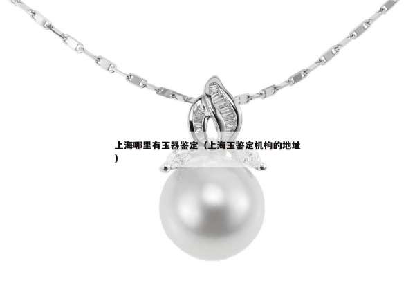 上海哪里有玉器鉴定（上海玉鉴定机构的地址）
