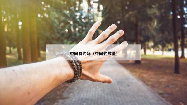 中国有豹吗（中国豹数量）