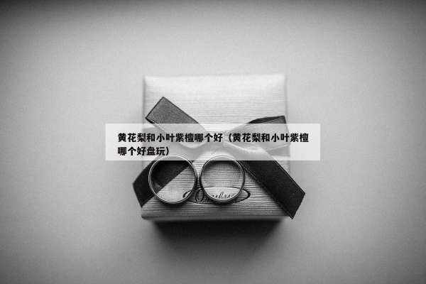 黄花梨和小叶紫檀哪个好（黄花梨和小叶紫檀哪个好盘玩）