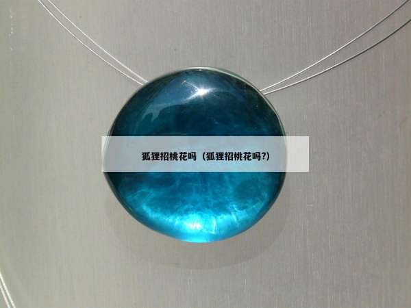 狐狸招桃花吗（狐狸招桃花吗?）