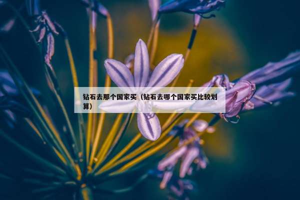 钻石去那个国家买（钻石去哪个国家买比较划算）