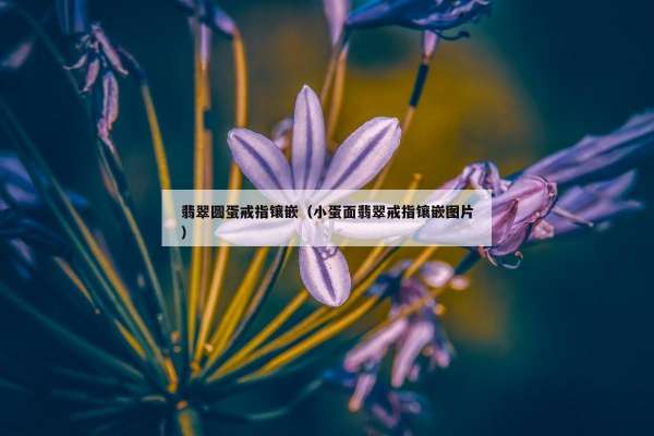 翡翠圆蛋戒指镶嵌（小蛋面翡翠戒指镶嵌图片）
