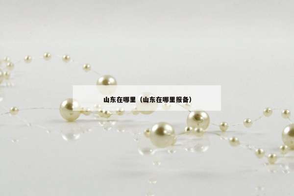 山东在哪里（山东在哪里报备）