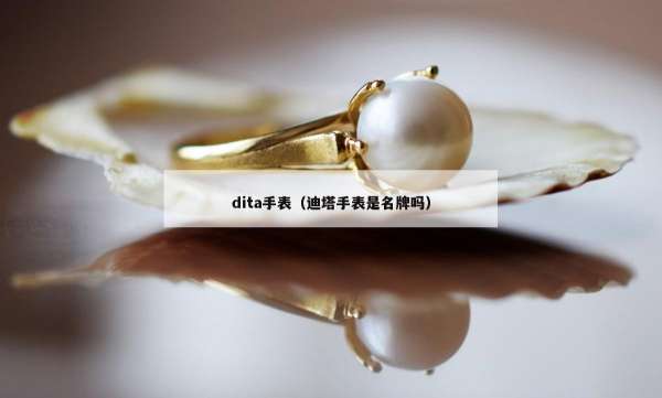 dita手表（迪塔手表是名牌吗）