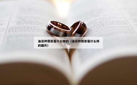 油豆种翡翠是什么样的（油豆种翡翠是什么样的图片）