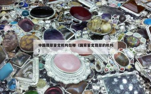 中国翡翠鉴定机构在哪（国家鉴定翡翠的机构）