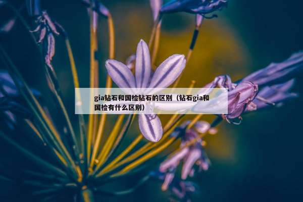 gia钻石和国检钻石的区别（钻石gia和国检有什么区别）