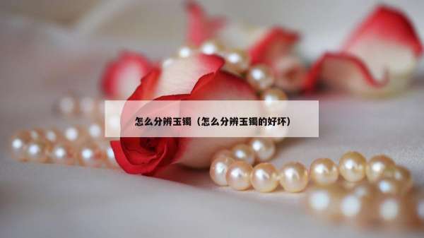怎么分辨玉镯（怎么分辨玉镯的好坏）