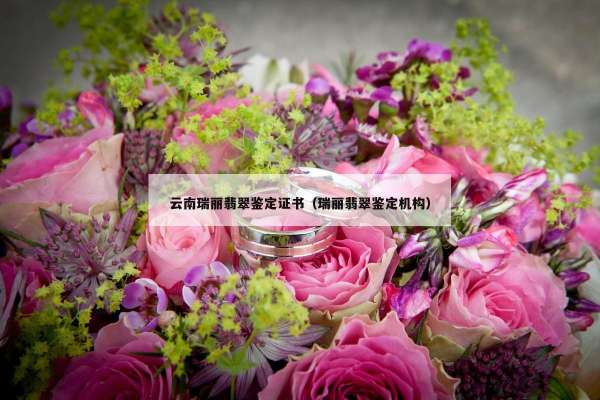 云南瑞丽翡翠鉴定证书（瑞丽翡翠鉴定机构）