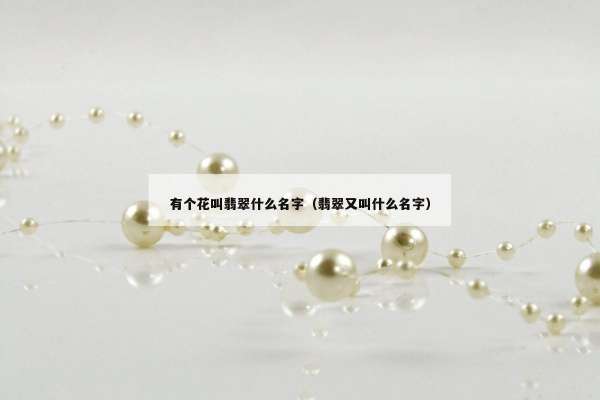 有个花叫翡翠什么名字（翡翠又叫什么名字）