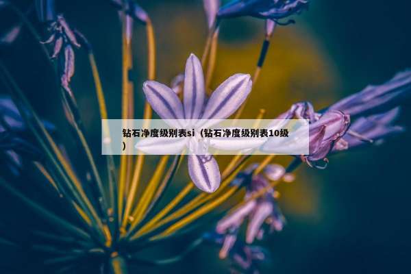 钻石净度级别表si（钻石净度级别表10级）