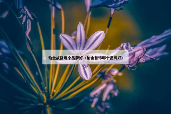 铂金戒指哪个品牌好（铂金首饰哪个品牌好）
