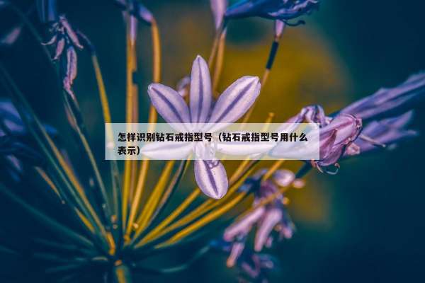 怎样识别钻石戒指型号（钻石戒指型号用什么表示）