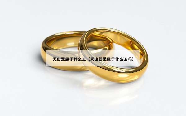 天山翠属于什么玉（天山翠是属于什么玉吗）