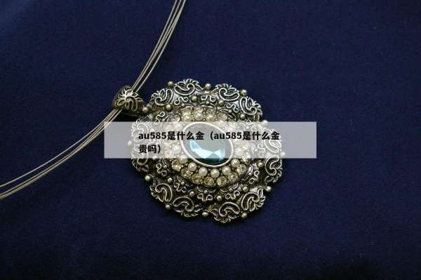 au585是什么金（au585是什么金 贵吗）