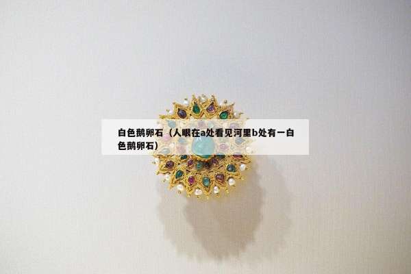 白色鹅卵石（人眼在a处看见河里b处有一白色鹅卵石）