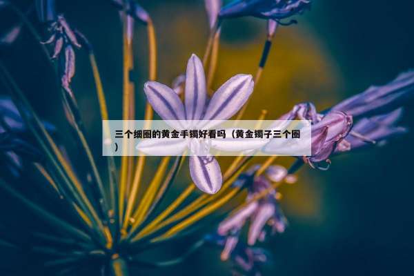 三个细圈的黄金手镯好看吗（黄金镯子三个圈）
